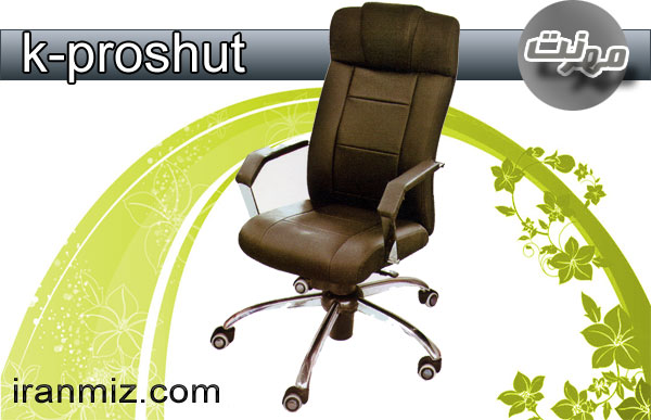 k-proshut