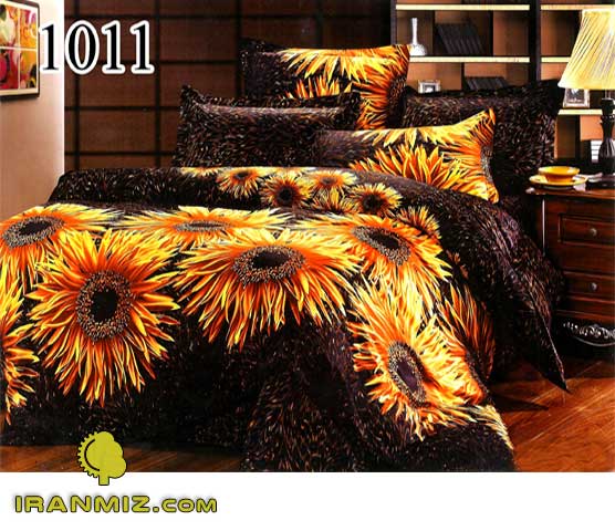 روتختی IM 1011